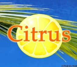 Изображение Студия фитнеса и танца «Citrus»