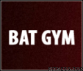 Тренажерный зал «Bat Gym»