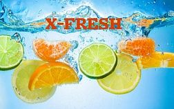 Фитнес-клуб «X-Fresh»